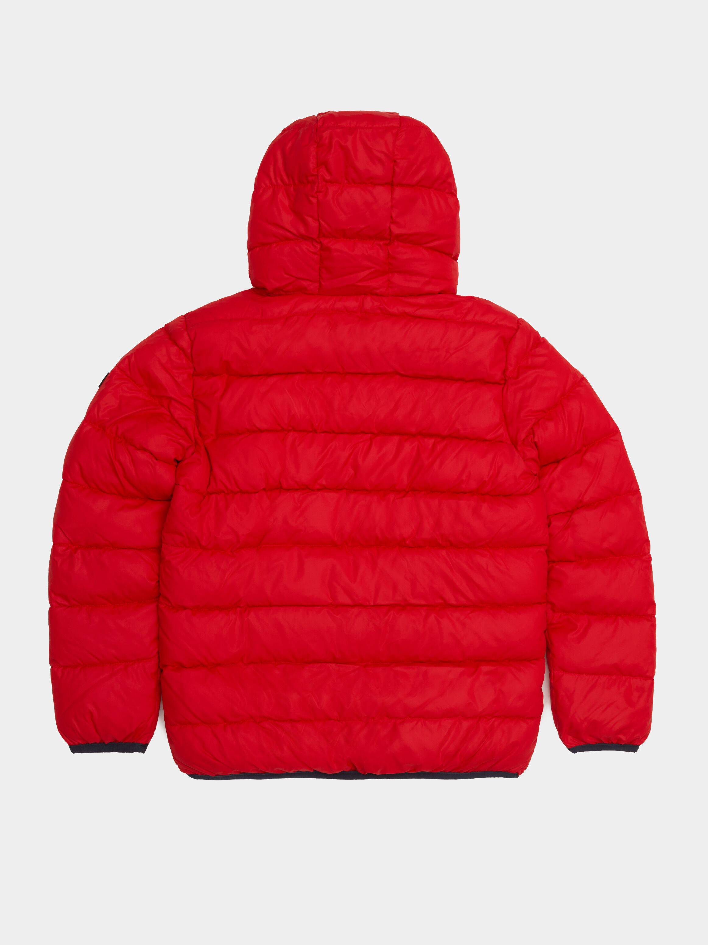 Tommy clearance jacket boys