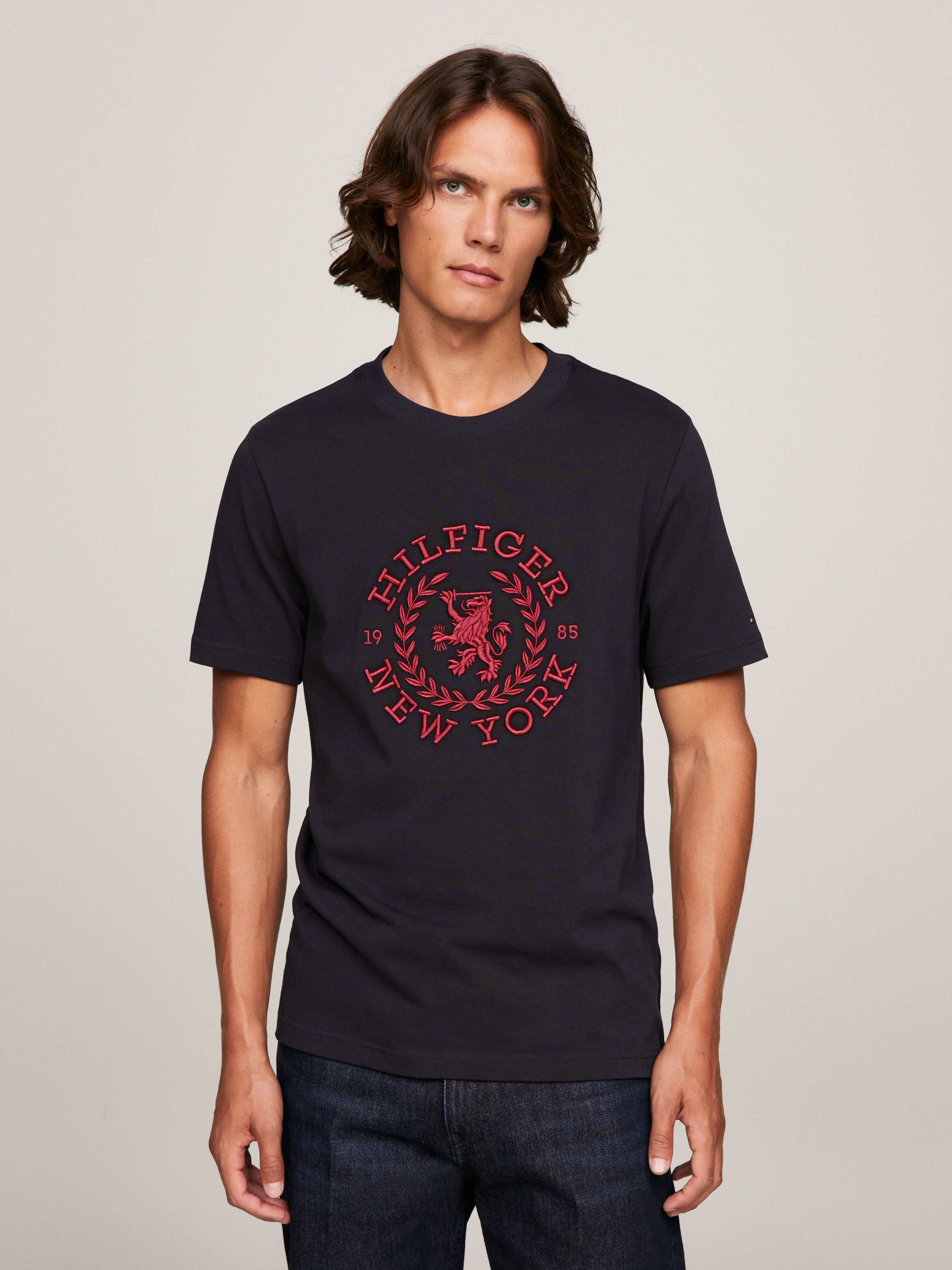 Tommy hilfiger t shirt 2020 hotsell