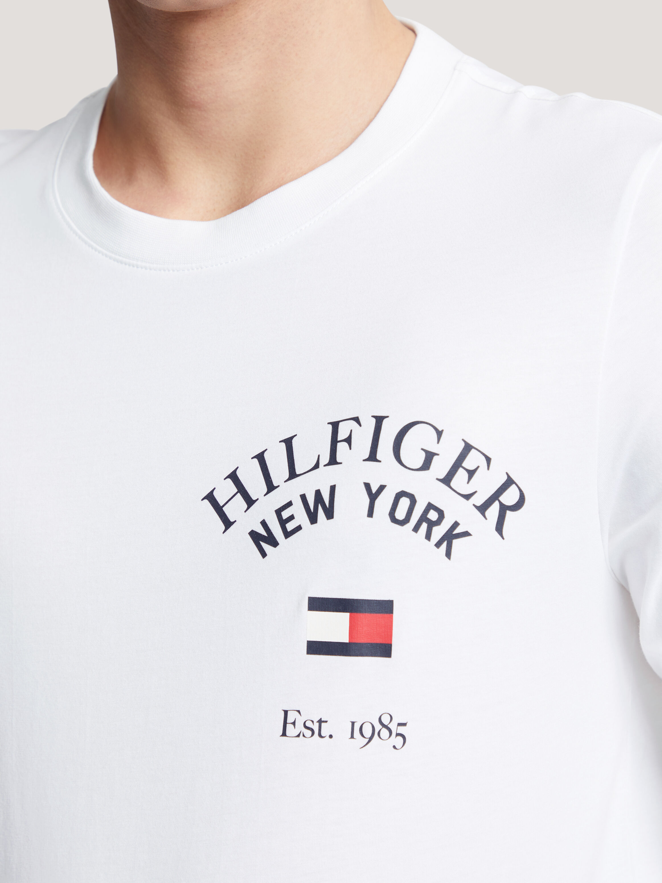 Tommy hilfiger signature tee hot sale