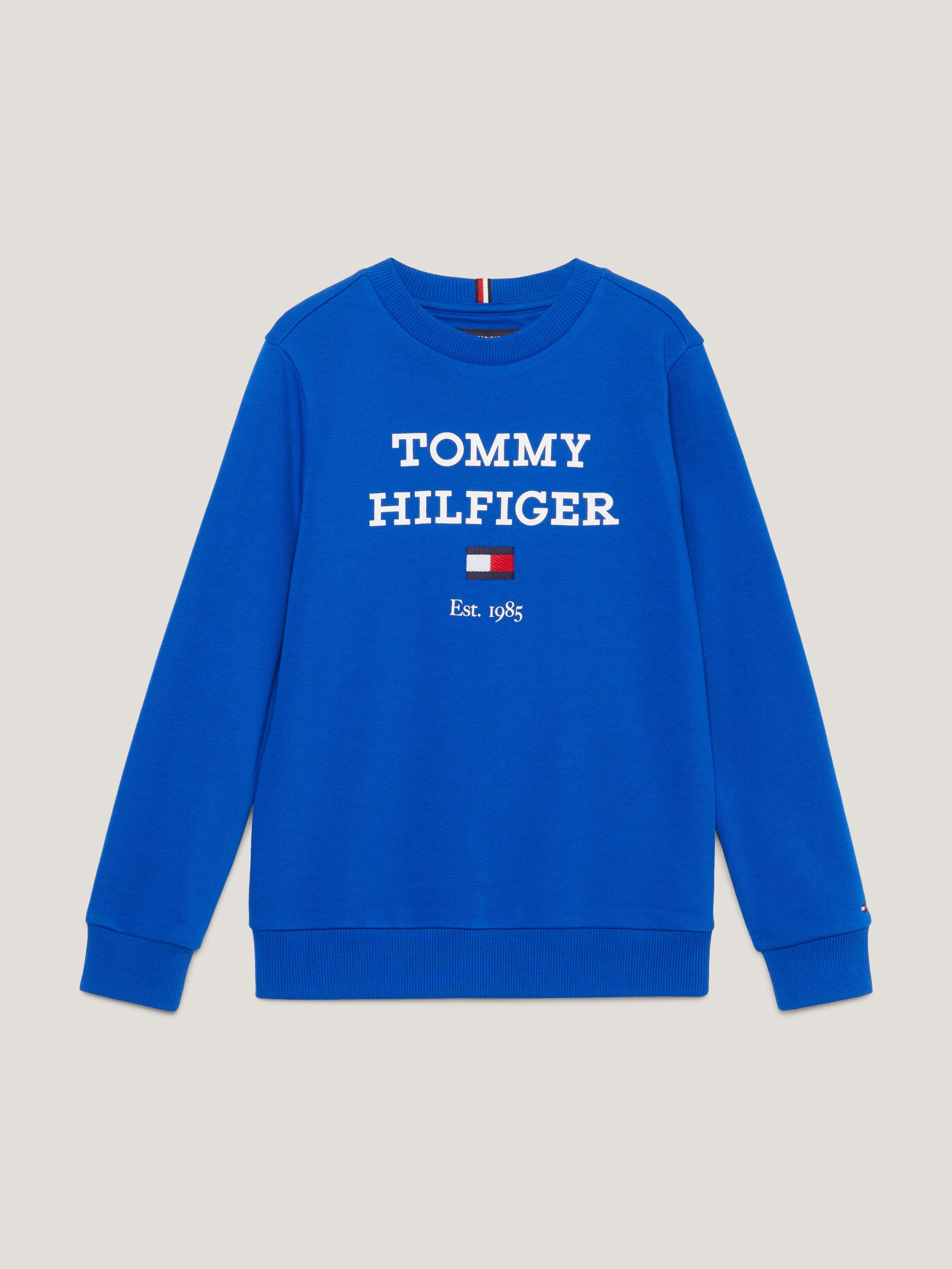 Tommy jeans sale big logo sweatshirt