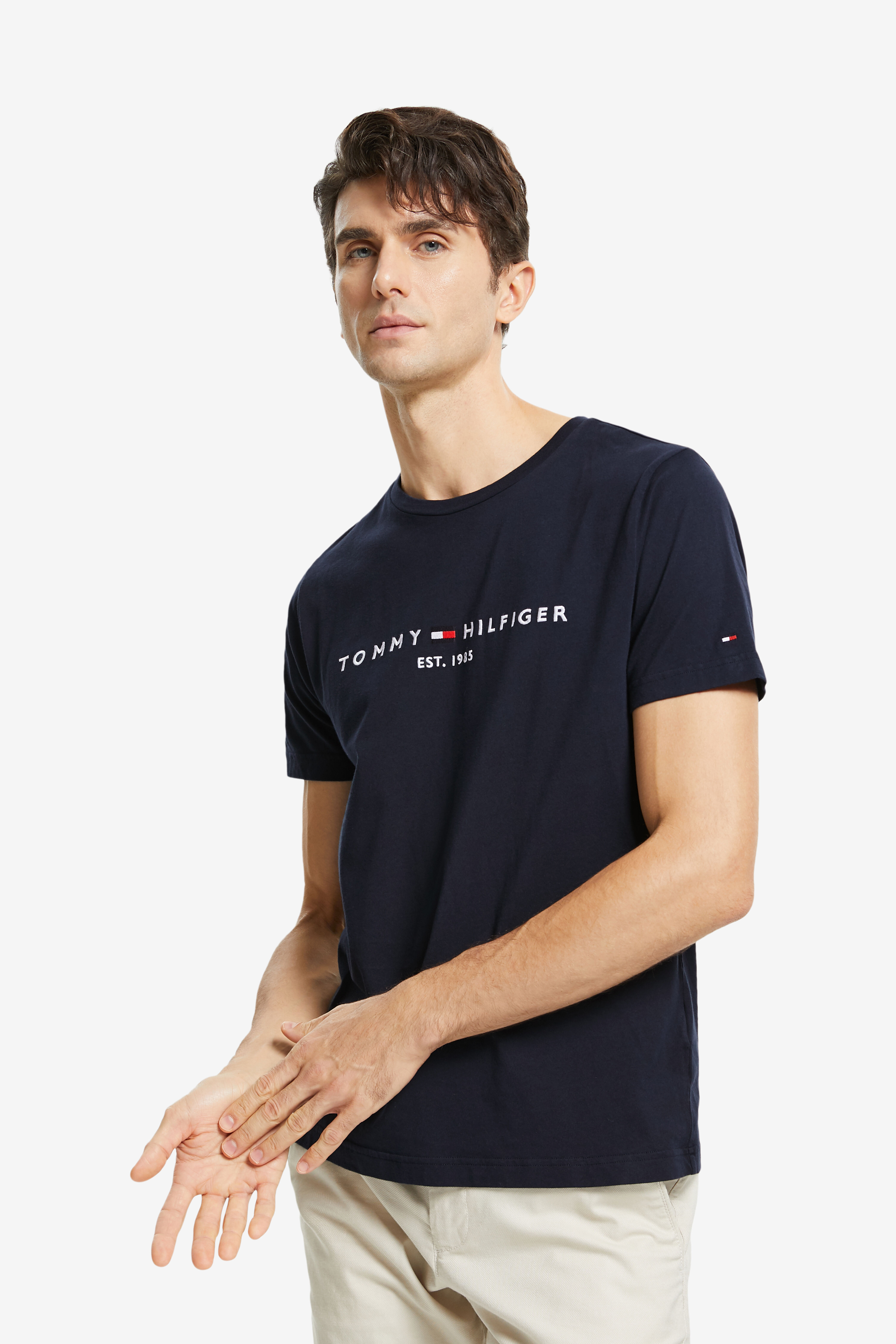 Tommy hilfiger badge tee hotsell