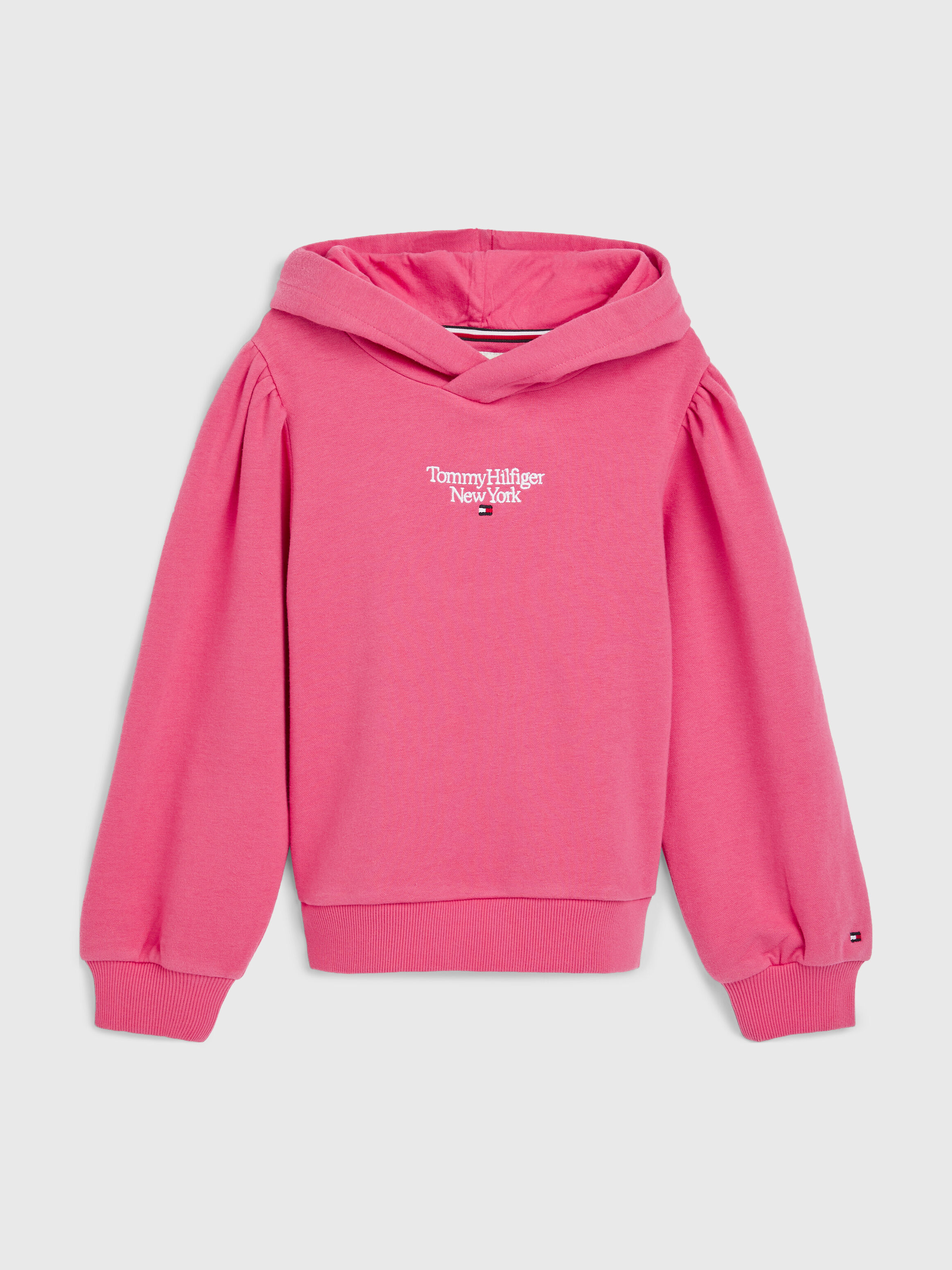 Sweatshirts Hoodies Tommy Hilfiger Taiwan
