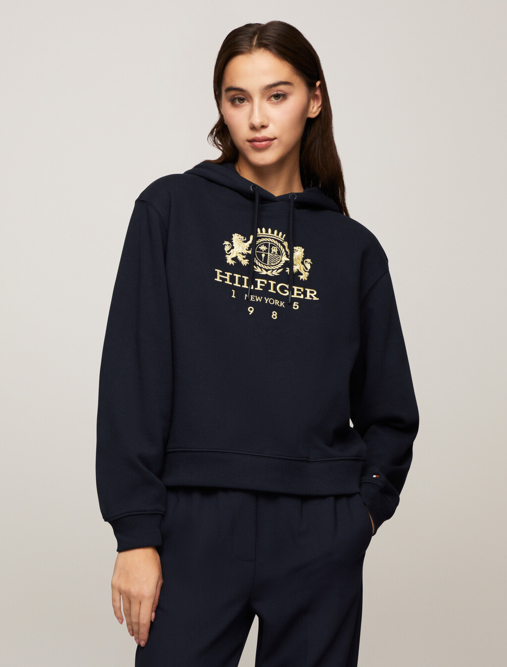 Modern Varsity Crest Hoodie, Desert Sky, hi-res
