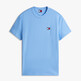 Sugarplum Blue