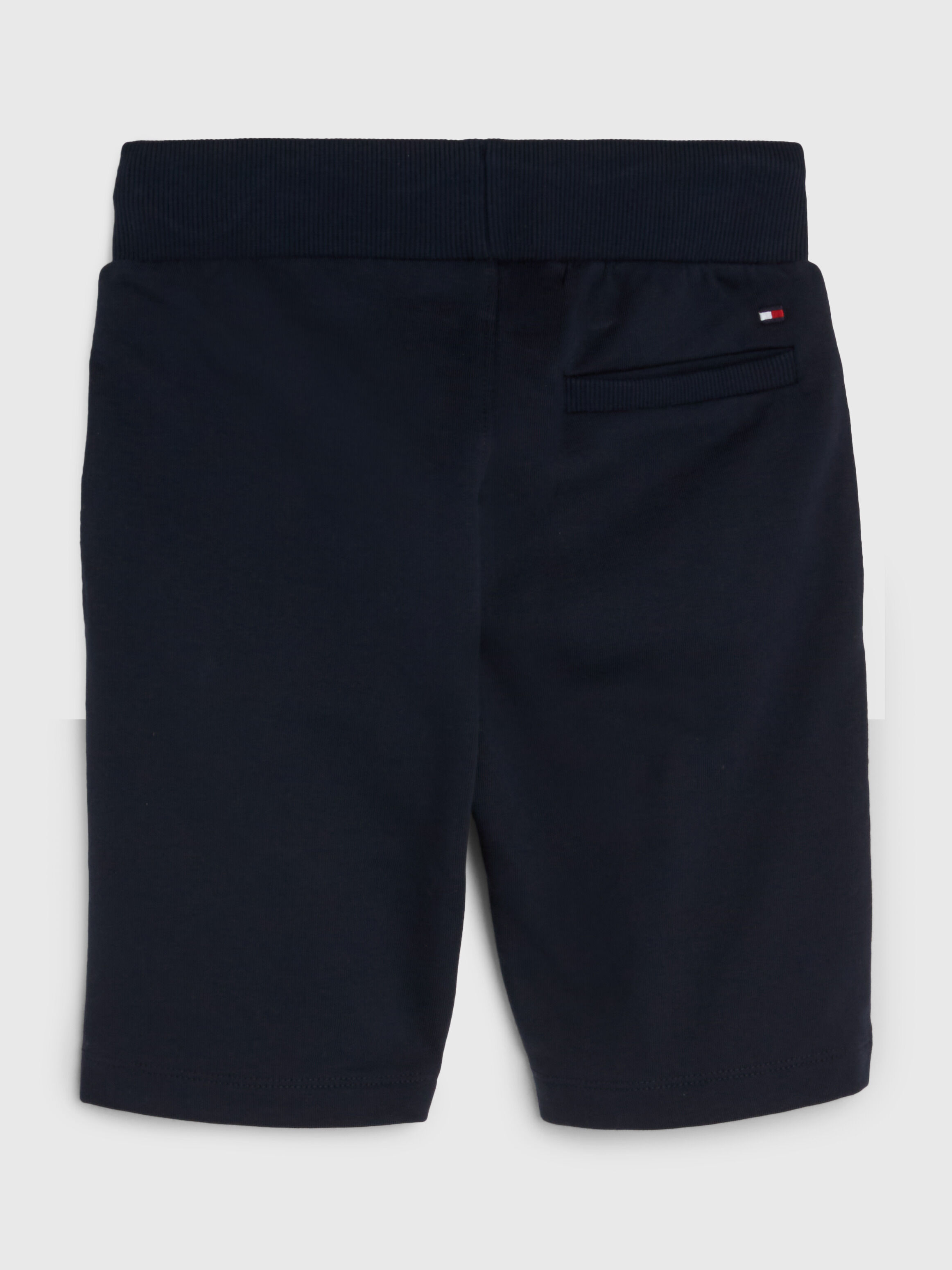 Essential Organic Cotton Logo Shorts blue Tommy Hilfiger Taiwan