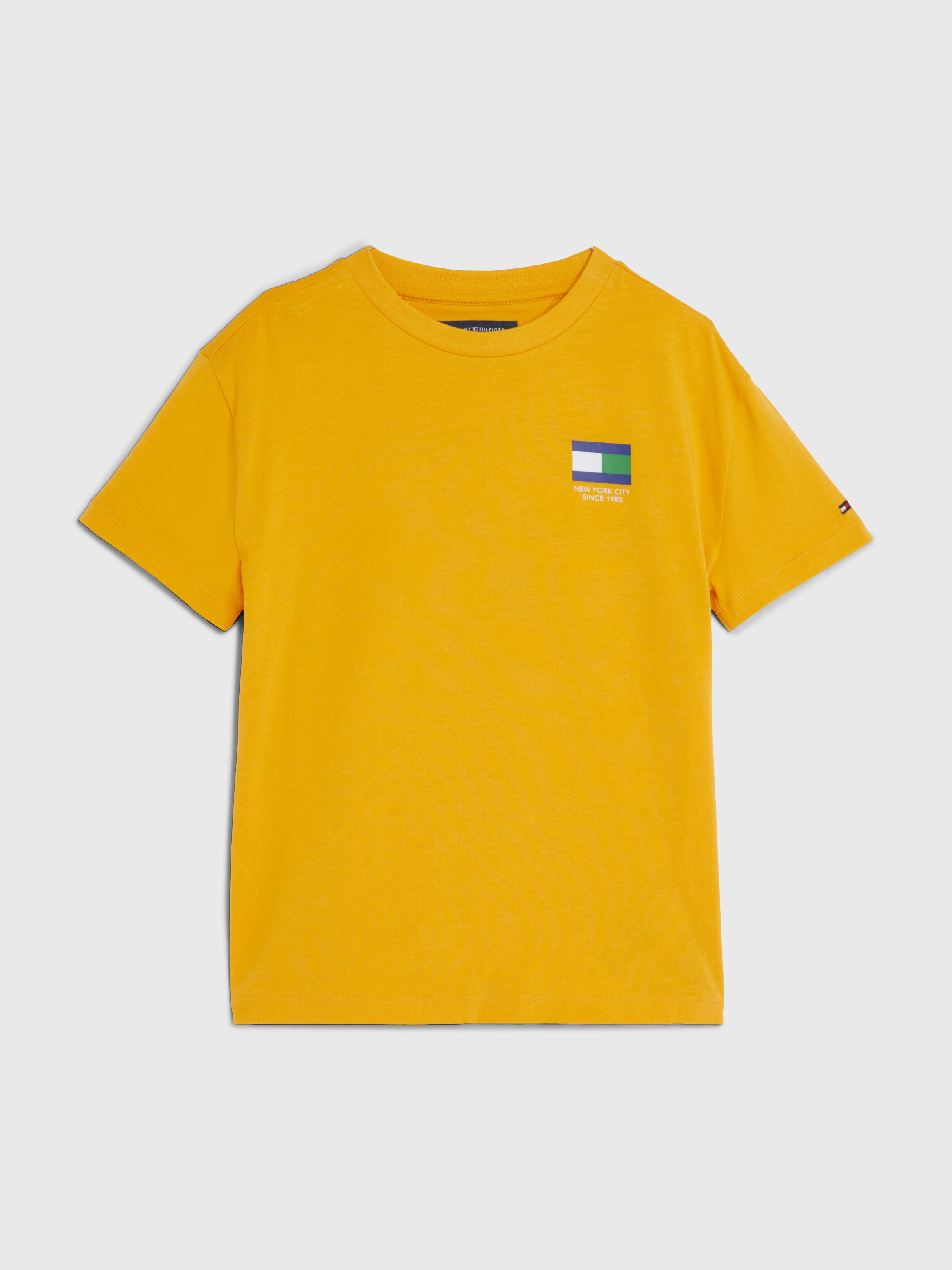 Tommy hilfiger hot sale junior shirts