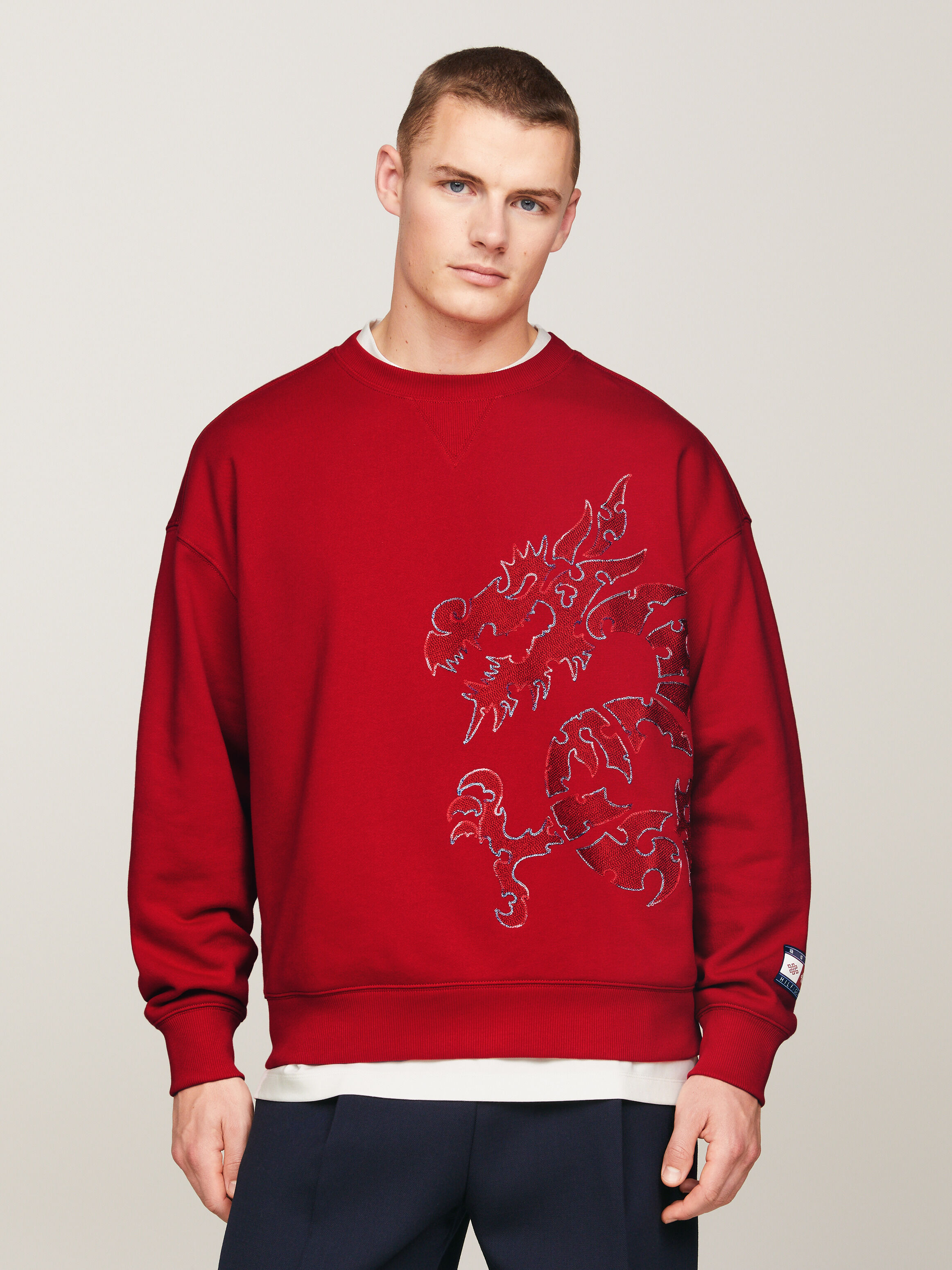 Tommy hilfiger unisex sweatshirt sale