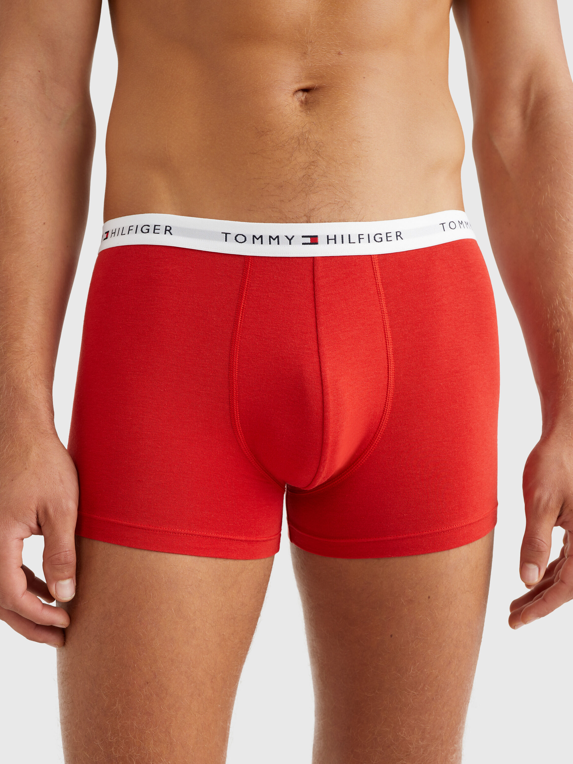 Tommy hilfiger top trunks