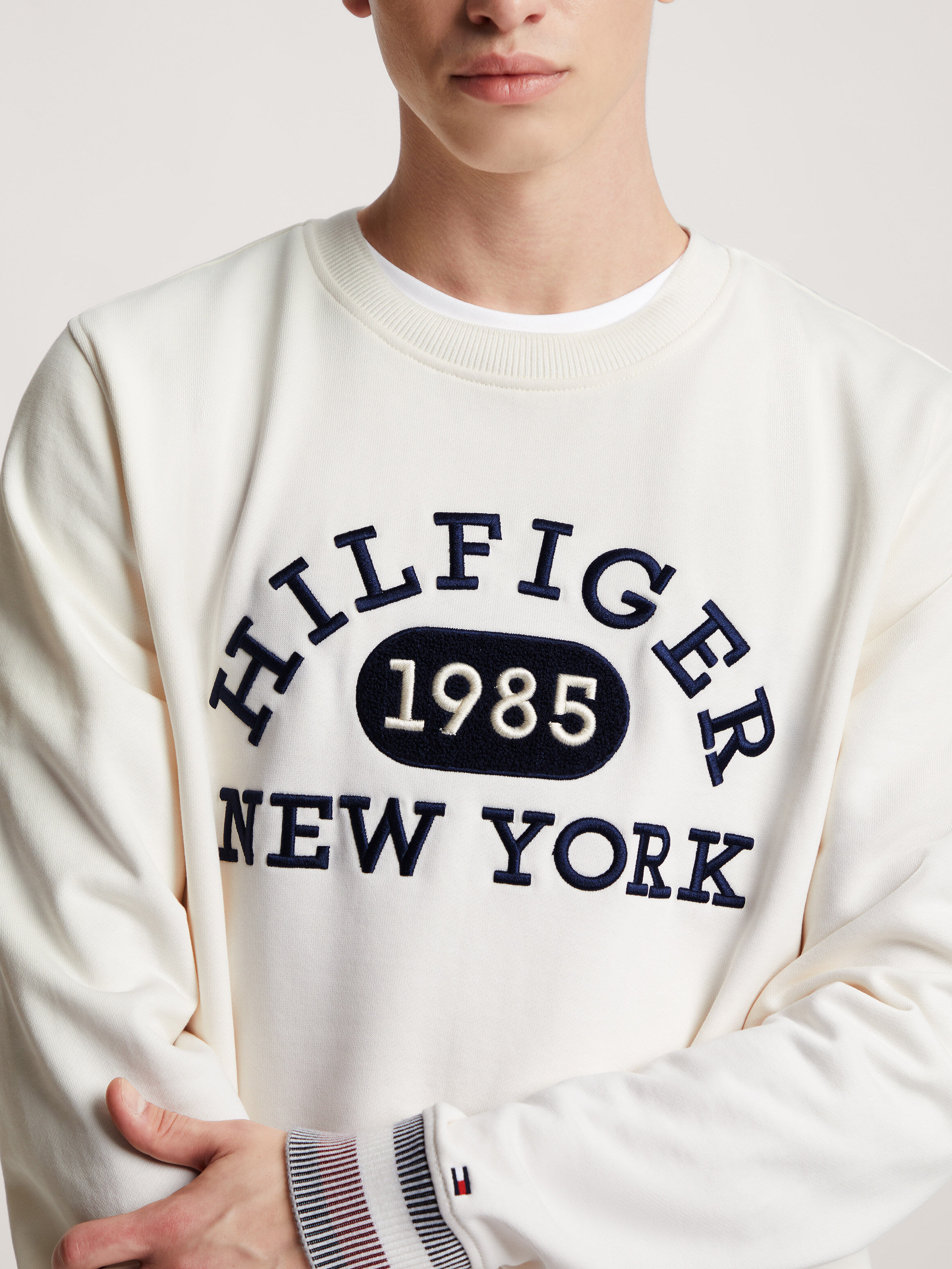 Tommy hilfiger online sweatshirt collegiate