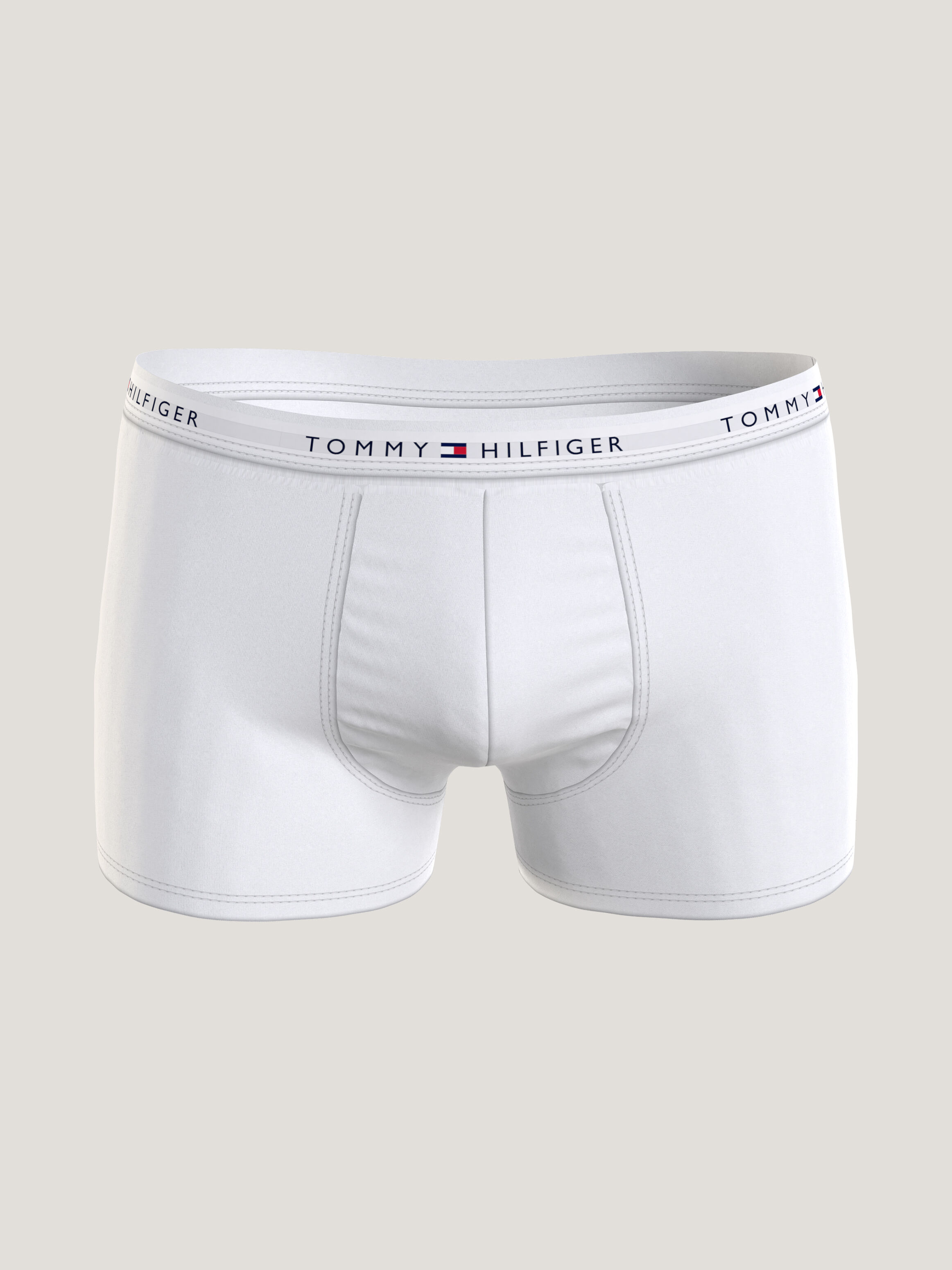 Icons Tommy Hilfiger