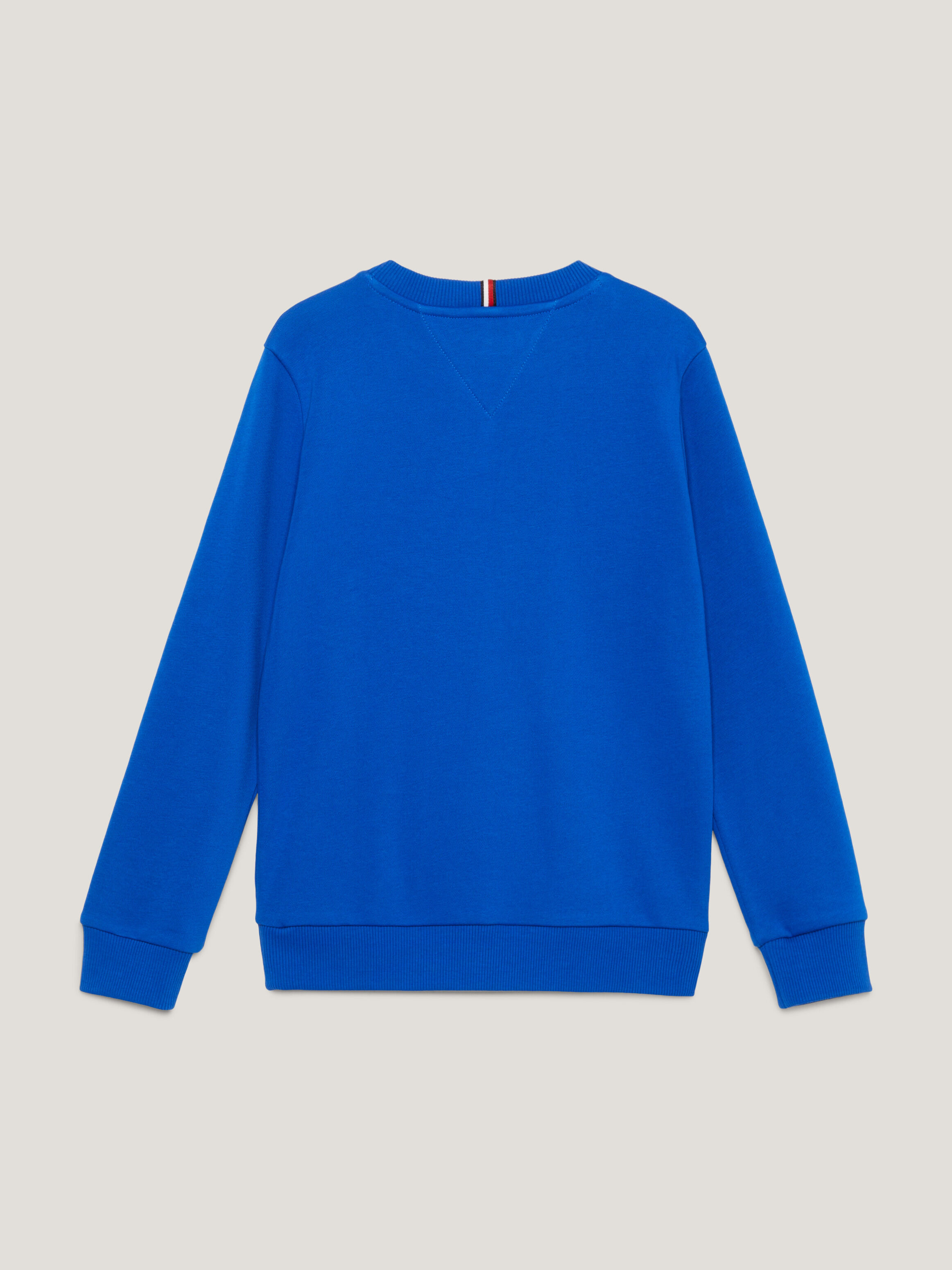 Tommy hilfiger sales everest logo sweatshirt