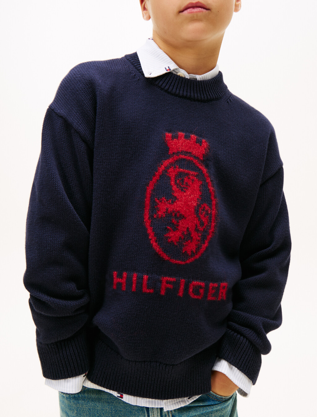 TH Crest Intarsia Crew Neck Jumper, Desert Sky, hi-res