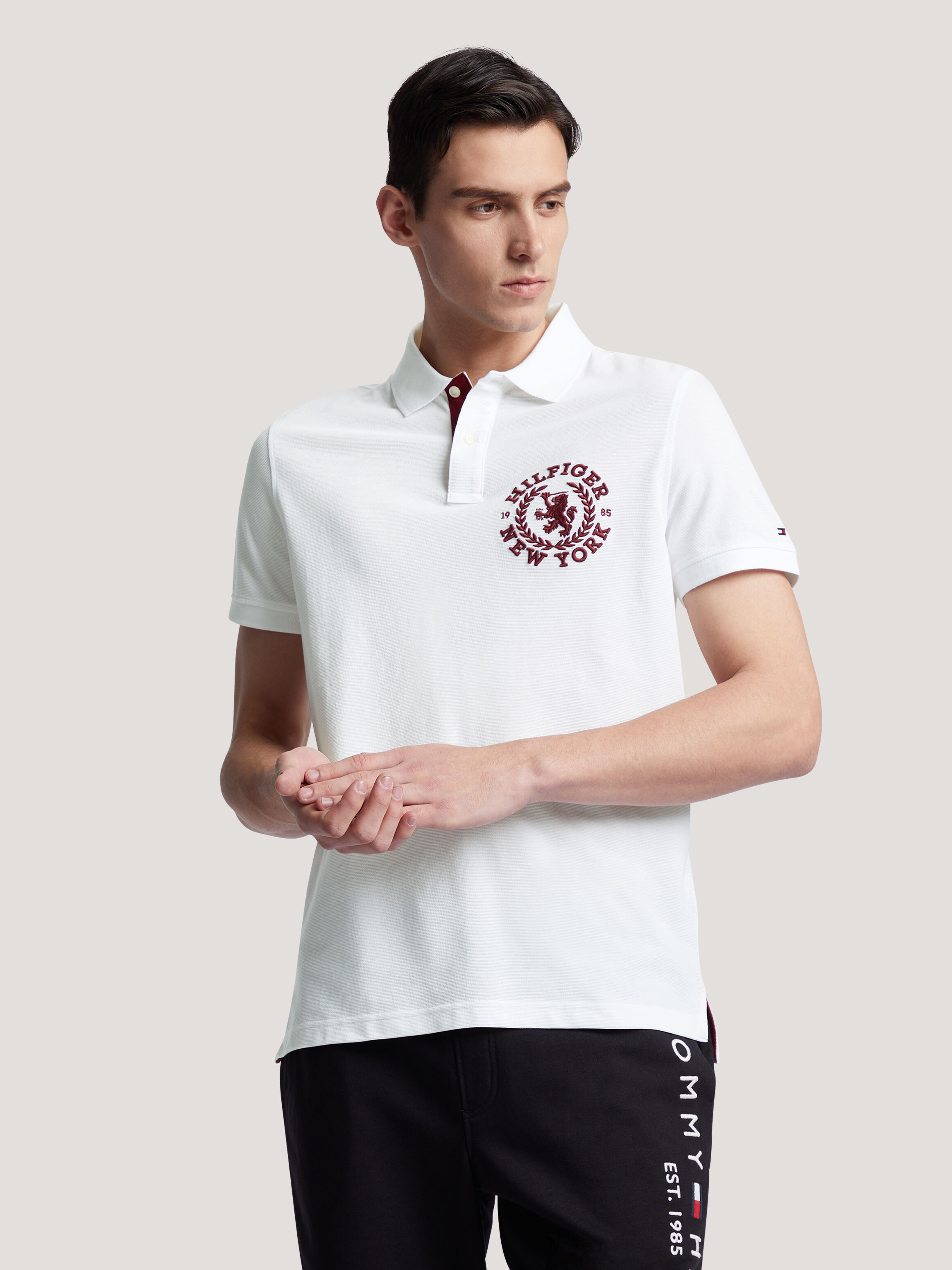 Tommy hilfiger homme on sale polo