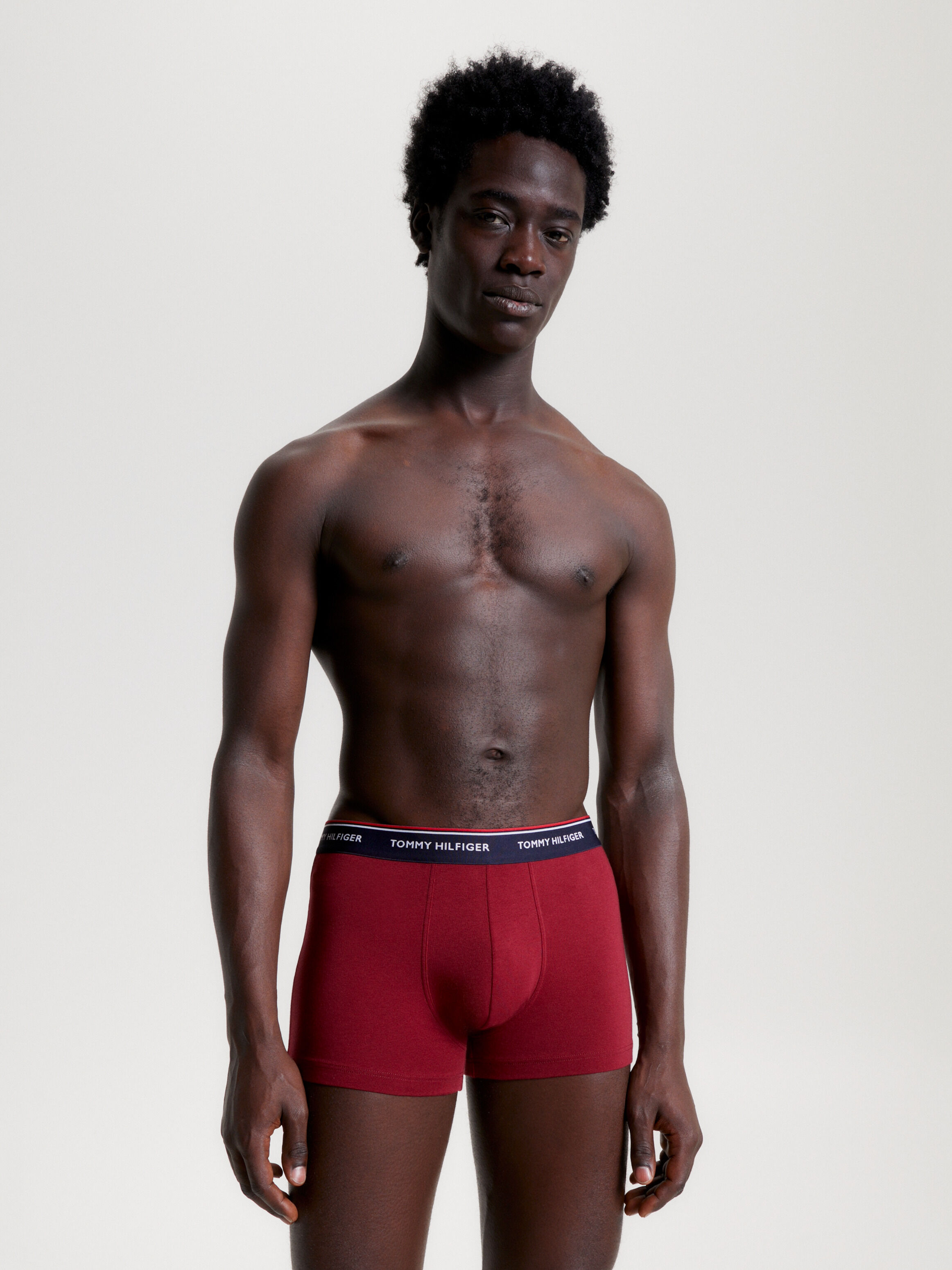 Tommy hilfiger premium clearance essential 3 pack trunks