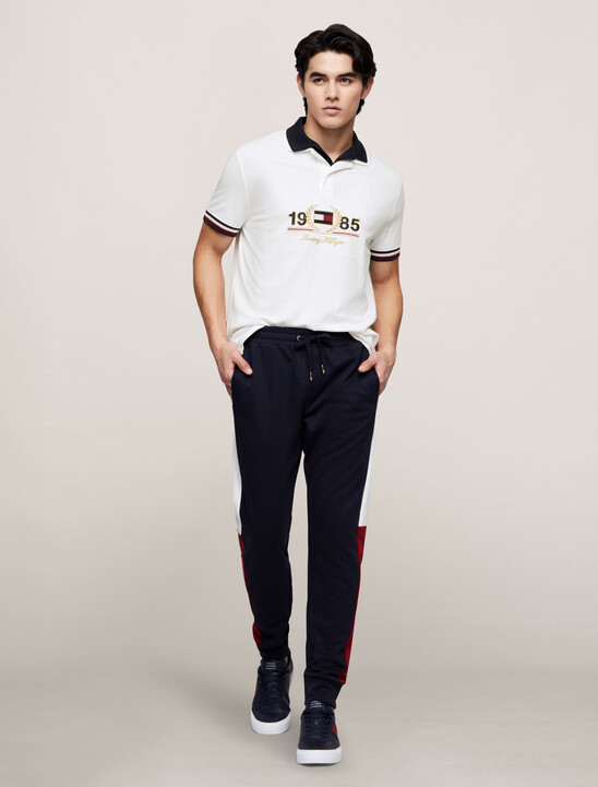 Tommy Hilfiger徽章Polo恤