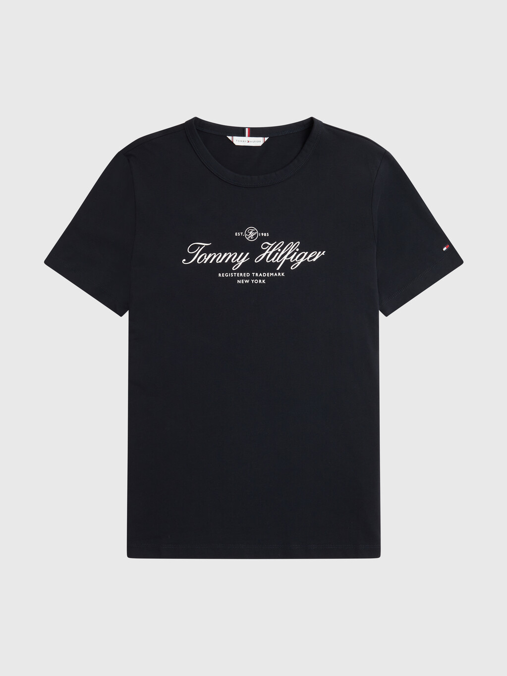 Hilfiger Script Logo Slim T-Shirt, Desert Sky, hi-res
