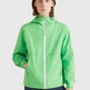 Spring Lime