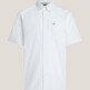 Optic White