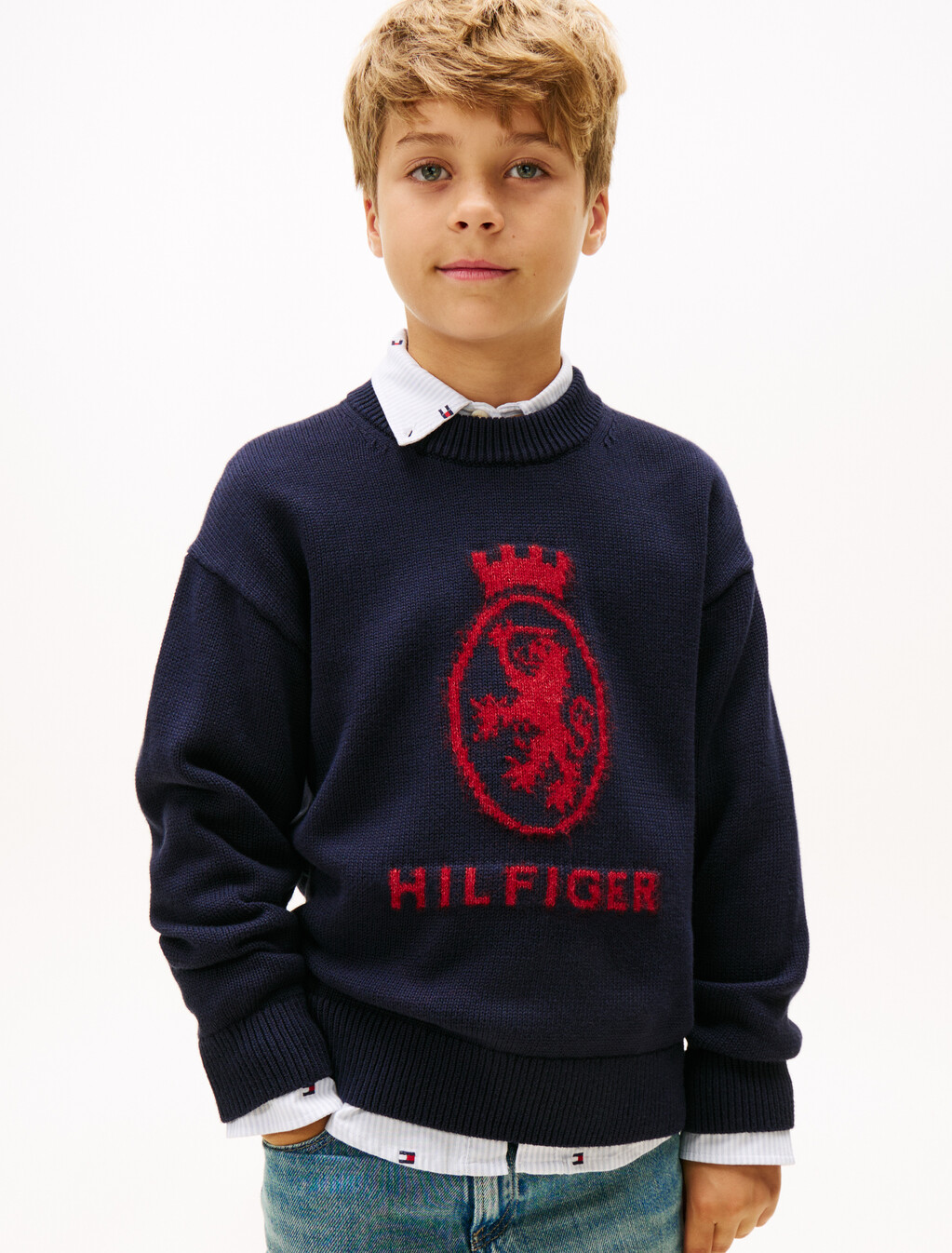 TH Crest Intarsia Crew Neck Jumper, Desert Sky, hi-res