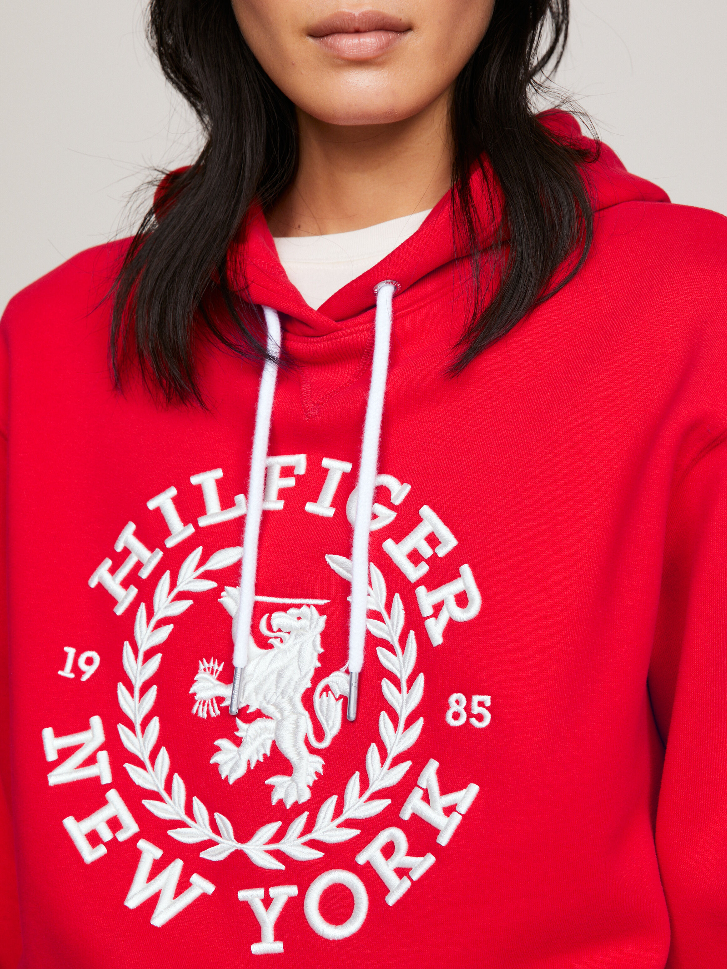Tommy jeans crest cheap 6.0 hoody